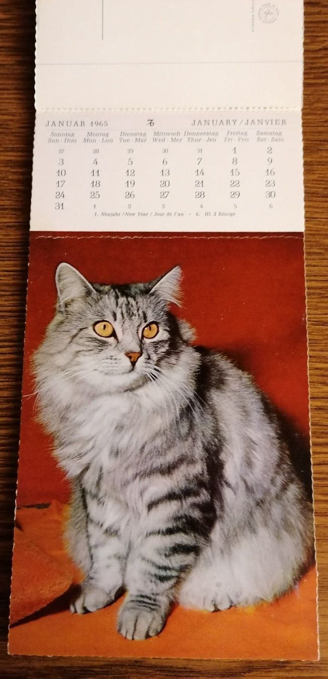 Calendari: Katzenkalender Jhg. 1965 – Usato da Geroldswil venduto da Dirici 1