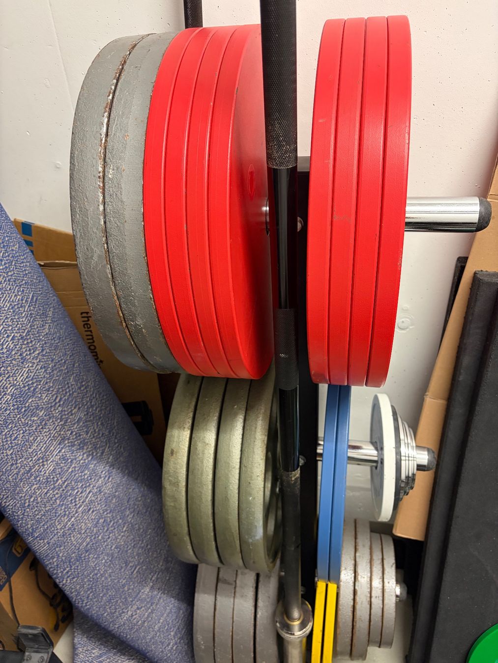 Cross Equip Poids & Haltères: Powerlifting Comp Plates mit Baum – D'occasion à Volketswil par gianluca9_- 1
