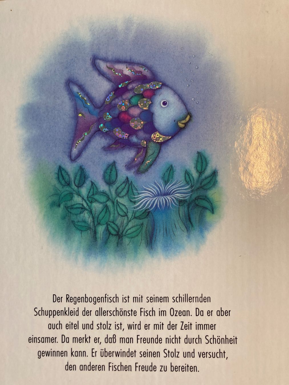 Bücher: Kinderbuch "Der Regenbogenfisch" von Marcus Pfister, top – Gebraucht aus Wil SG von elrawi 1