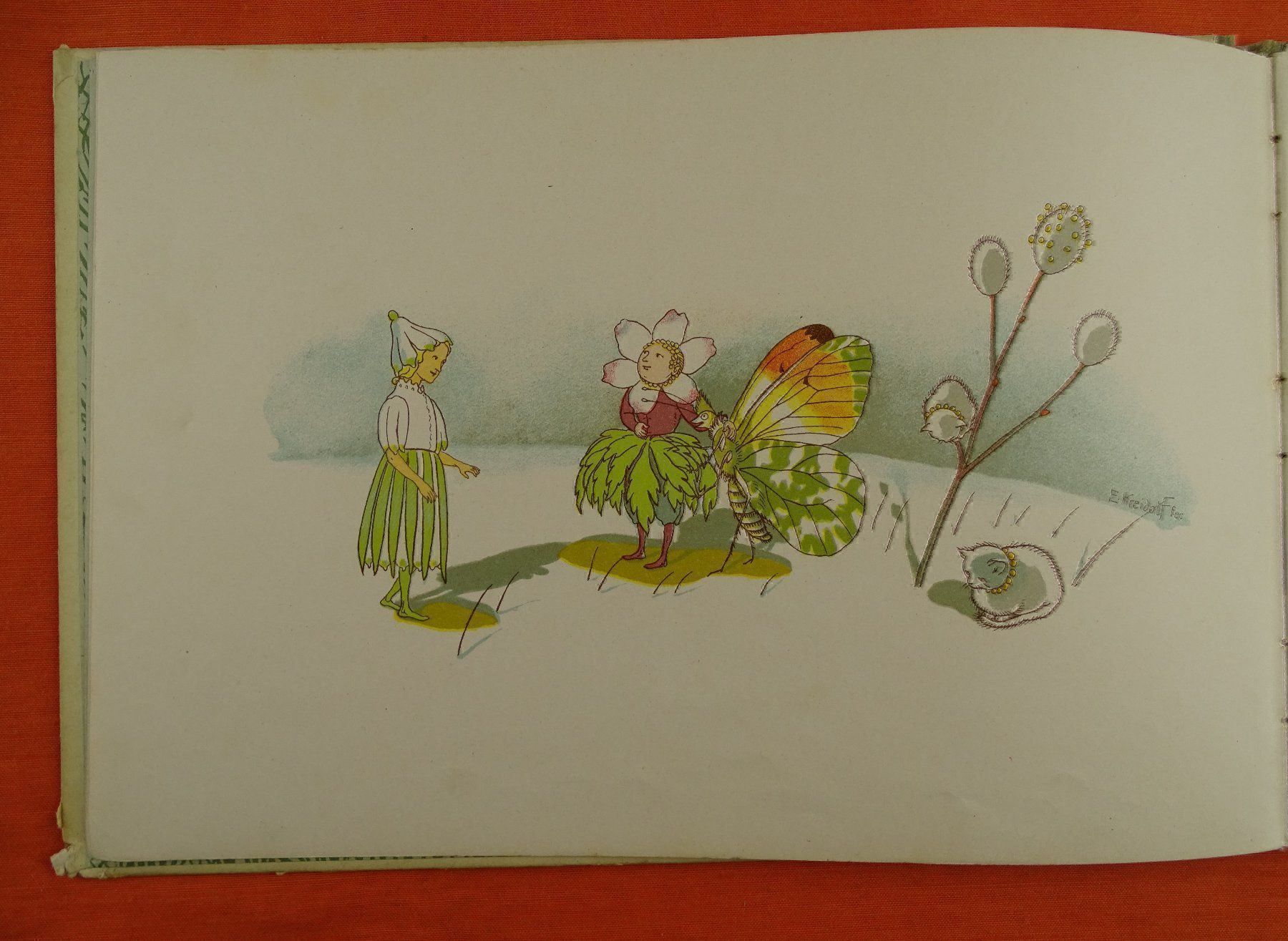 Libri: E. KREIDOLF: BLUMEN-MÄRCHEN, SCHAFFSTEIN – Usato da Grüningen venduto da Kartensammler 4