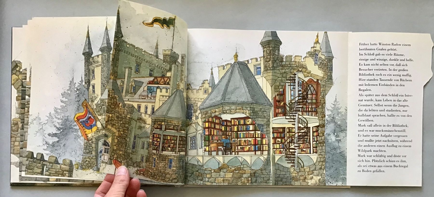 Libri: Das Geheimnis der Morlins – Usato da Bubendorf venduto da Alpenheidi 7