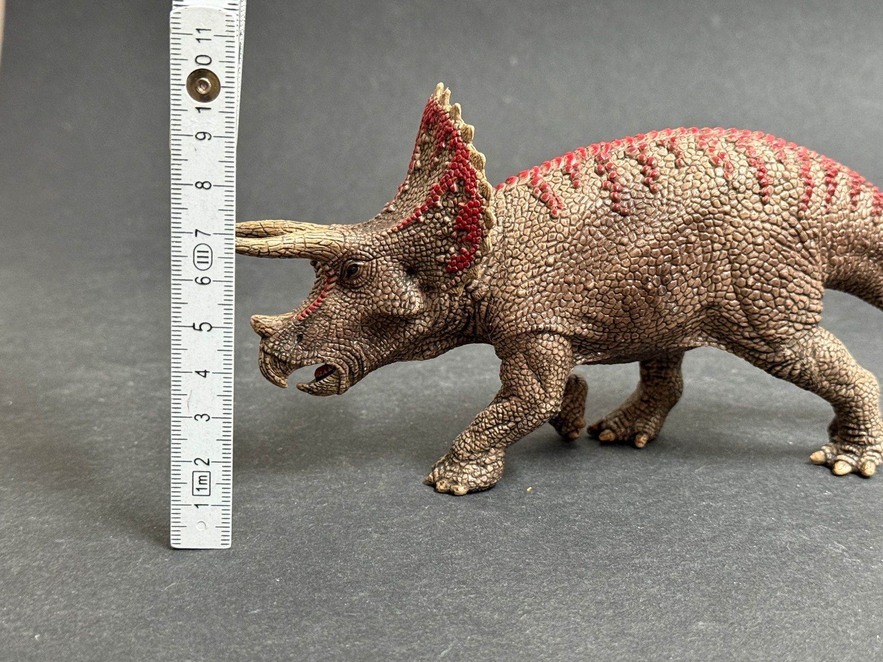 Schleich Statuette: Schleich Triceratops Dinosaurier Dino – Usato da Ennetbaden venduto da mapa05 1