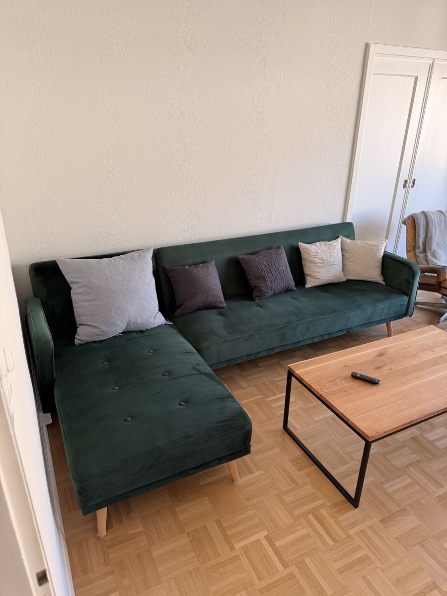 Divani: Grünes Sofa - Veloursofa - Schlafsofa - Sofa Bed – Usato da Zürich venduto da fri_fq26