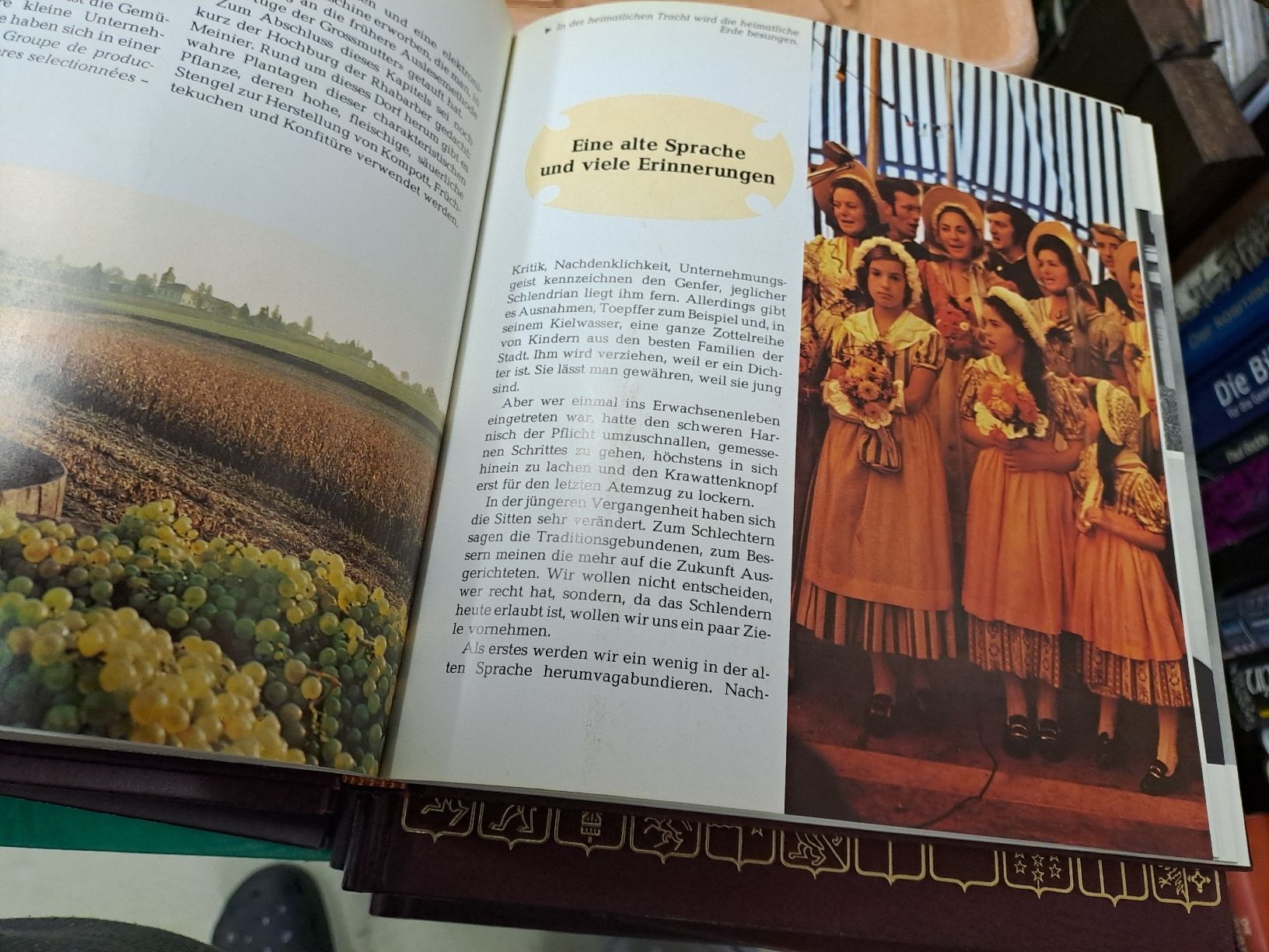 Libri: Buch Schweizer Kantone Genf - Limitierte Sammlerauflage – Usato da Zürich venduto da Schoebi19 6