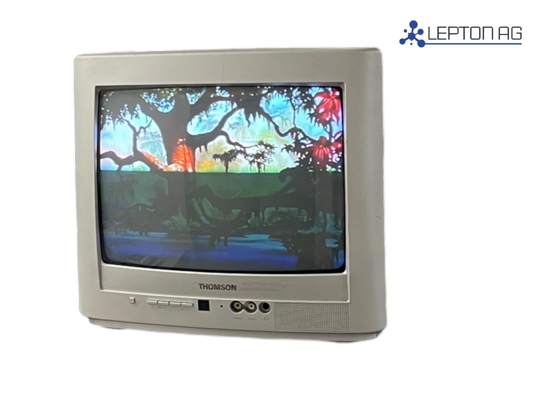 Thomson Televisori: Thomson 14MG135 Röhren TV 14" – Usato da Niederdorf venduto da LeptonAG 1