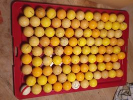 100 Stk Golfbälle Gebrauchsspuren Lot 3