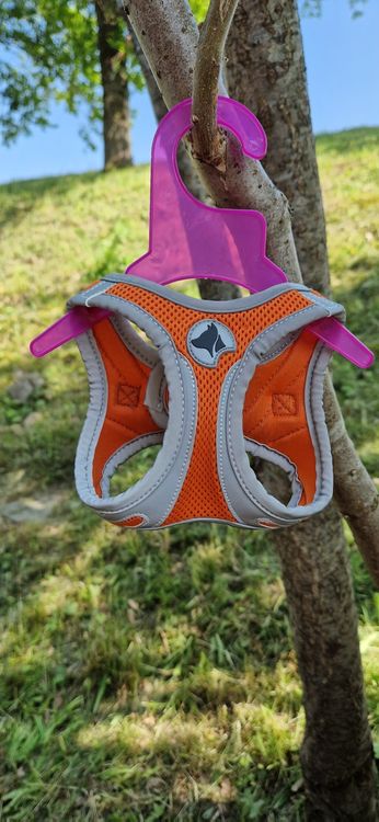 CROCI Harnais De Sécurité Voiture Pour Chien Taille XS - Voyage Serein Avec Votre Animal