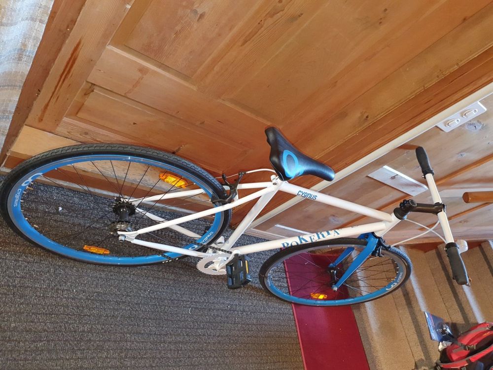 CITY BIKE NEU POKERTA CYGNUS DER SOMMER KOMMT READY Kaufen auf Ricardo