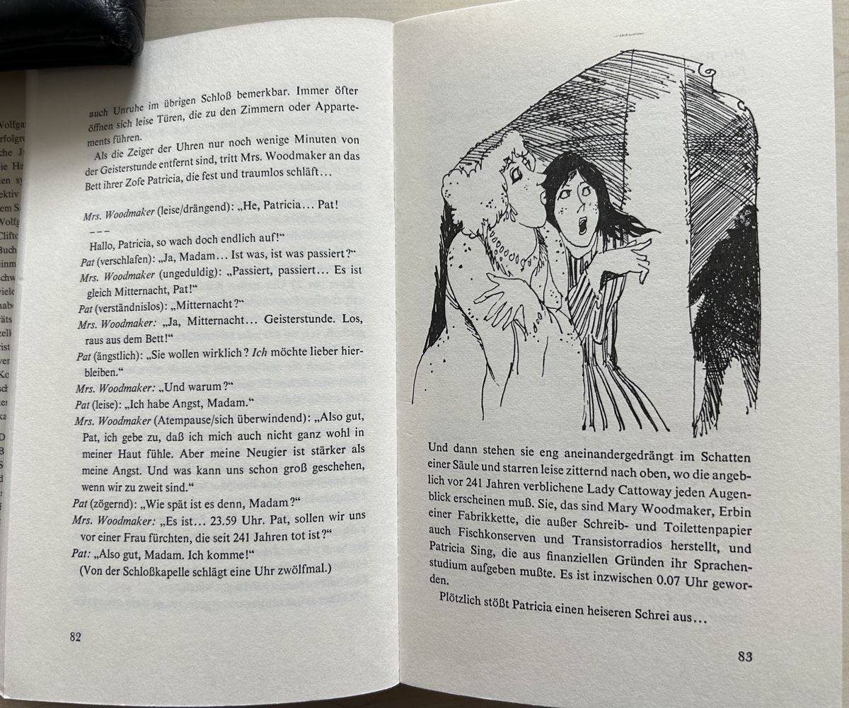 Libri: Wolfgang Ecke Buch, Jugend Krimis – Usato da Reinach BL venduto da Linda013 6
