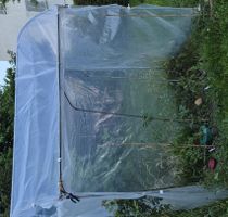 Folientunnel mit Metalgestell Grösse L gebraucht
