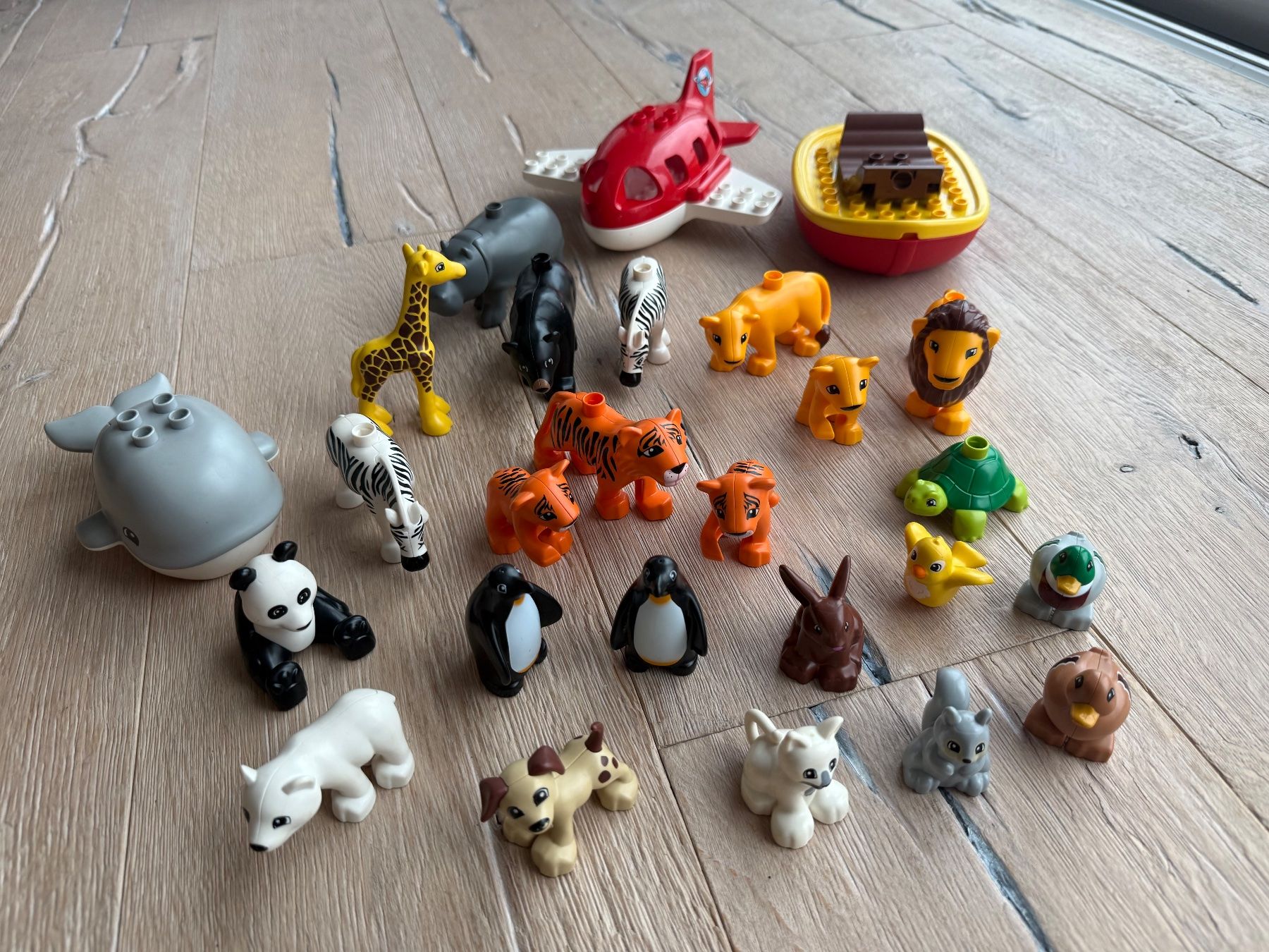 Lego Giocattoli: LEGO Duplo – Usato da Schneisingen venduto da Piggybag 6
