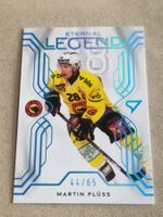 Sportzoo Eternal Legend   Plüs  Bern    44/65