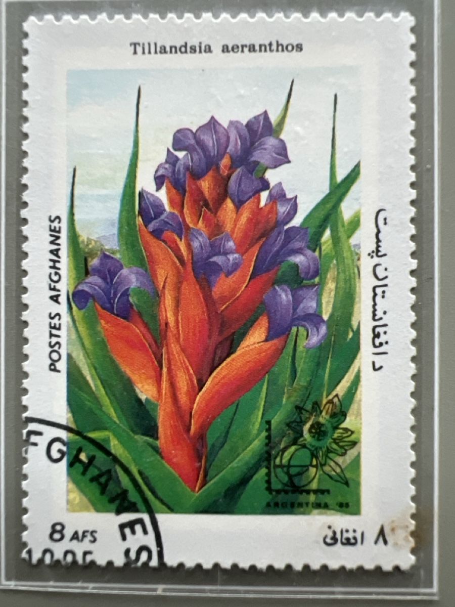 Tutti i francobolli: Briefmarken Afghanistan 1985 – Usato da Glattbrugg venduto da Artos67 3