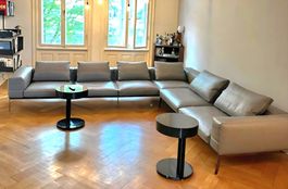 ●○●FLEXFORM LIFESTEEL SOFA●○●
