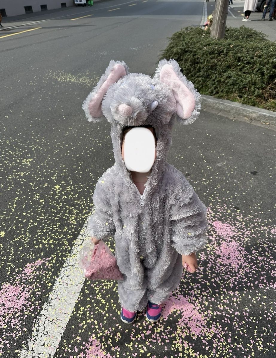 Costumi: Fasnachtskostüm Elefant Grösse 110 – Nuovo (secondo la descrizione) da Adliswil venduto da surenya 2