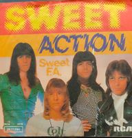 Vinyl Single The Sweet - Action