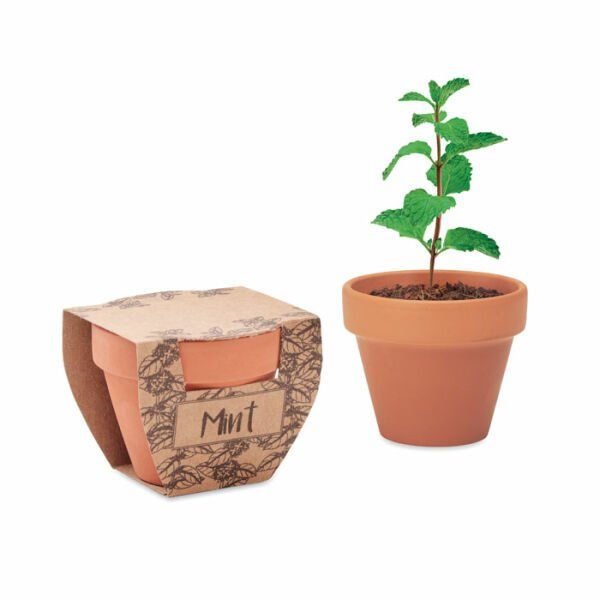 Vasi per fiori: MINT POT - Terrakotta-Topf Minze – Nuovo e nell'imballaggio originale da Fislisbach venduto da Hast1976