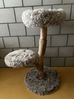 Kratzbaum