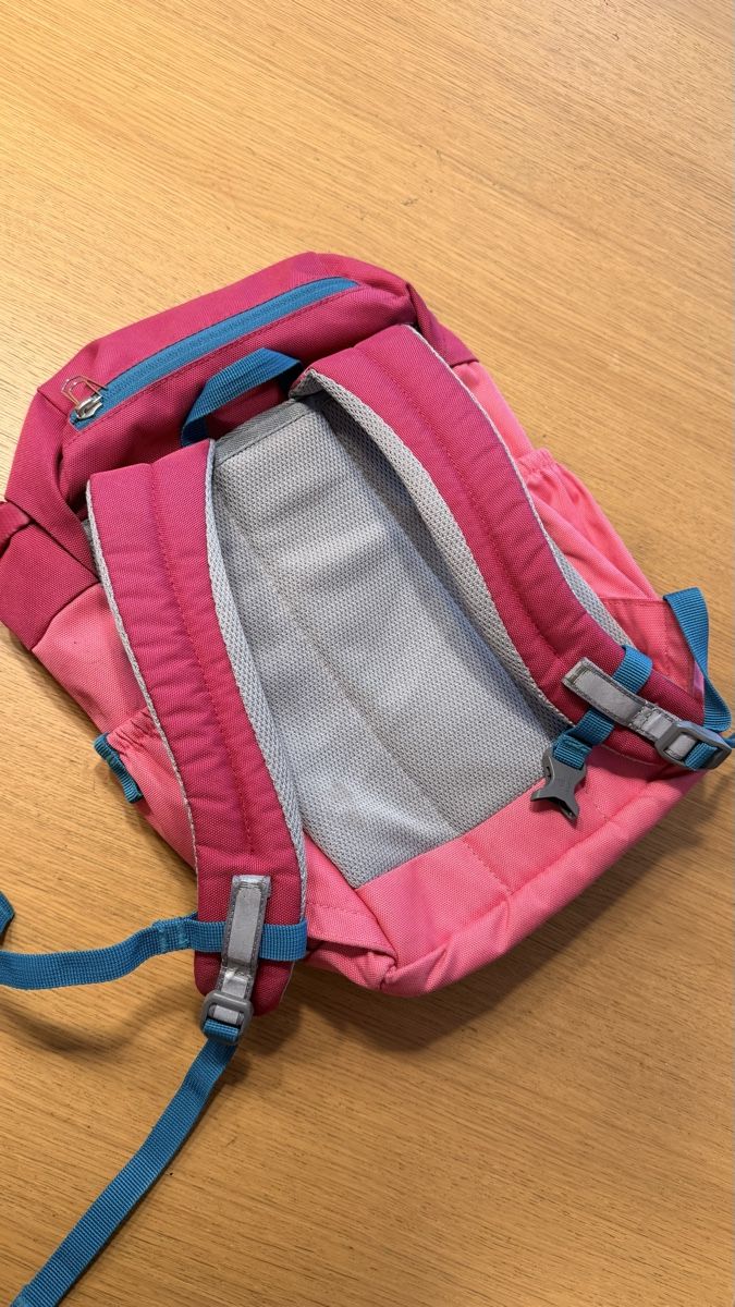 Deuter Borse & Zaini: Deuter Kinderrucksack schmusebär pink – Usato da Einsiedeln venduto da Wontom 1