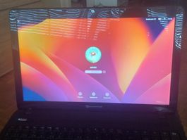 Acer Aspire E5-574G/HP Easynote BZ W11/MacOS Retrogaming 1To