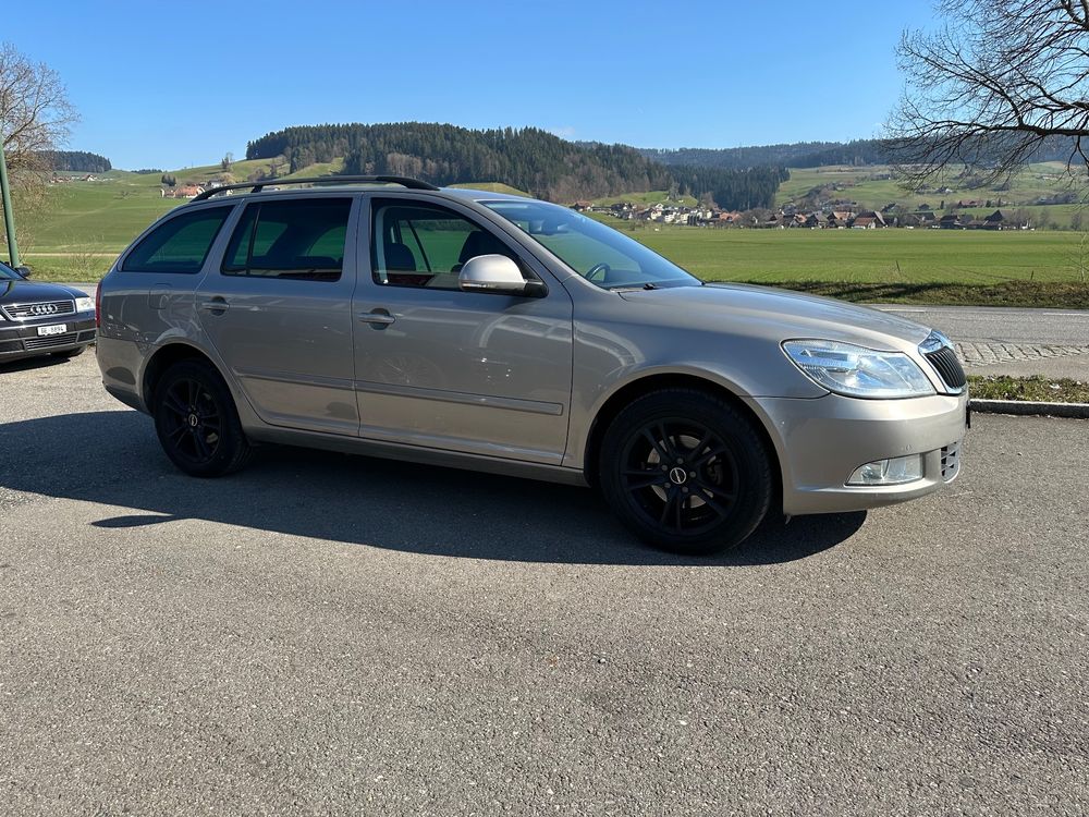 Skoda Automobili: Skoda Octavia 1.6 TDI 4x4 – Usato da Konolfingen venduto da DanielG1974 5