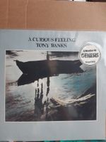 Langspielplatte Vinyl Tony Banks (A Member of Genesis)