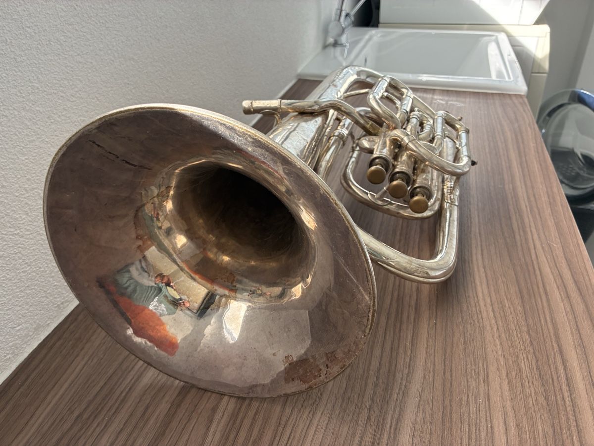 Instruments de musique: Eufonio  – D'occasion à Malvaglia par ene_7kr6 1