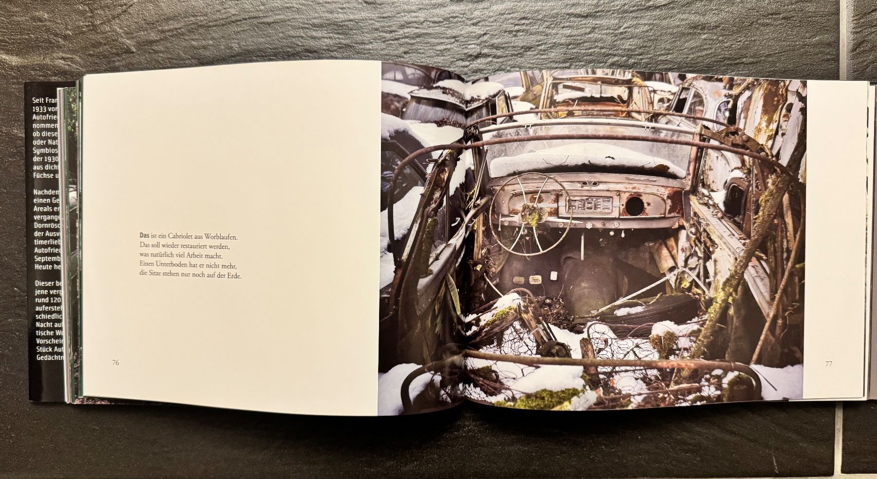 Libri: Dauerparker: Bildband vergessener Oldtimer-Legenden! – Usato da Wolfwil venduto da whyjoker 3