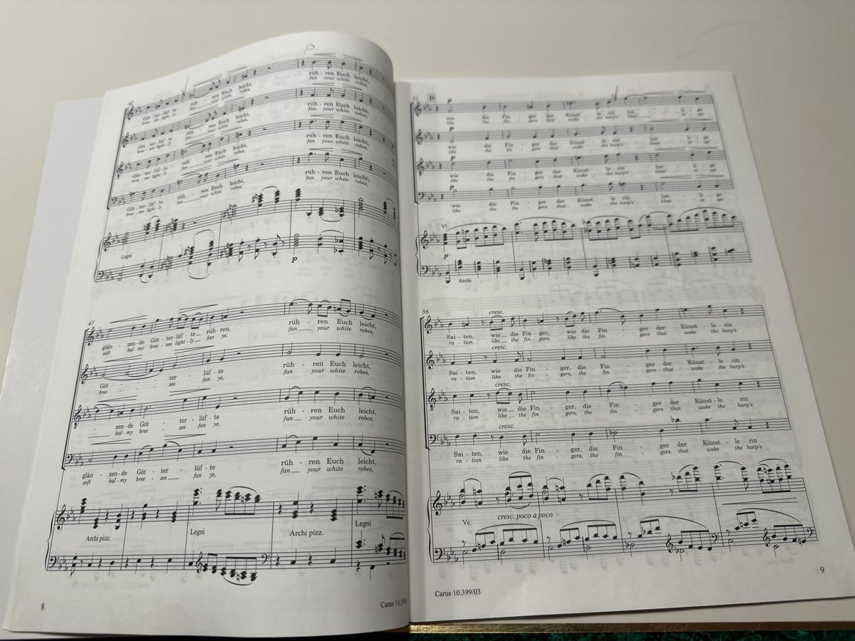 Libri: Brahms: Schicksalslied op. 54, Klavierauszug Noten – Usato da Wald ZH venduto da Martin79 3