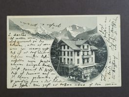 1902, Postkarte Pension Jungfrau Gästehaus & Alpenlandschaft