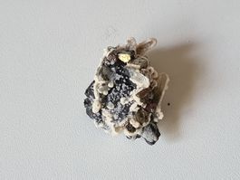 Mineralienstufe Pyrit & Sphalerit mit Calcit (PS104)