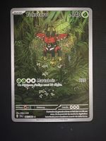 Tokotoro 065