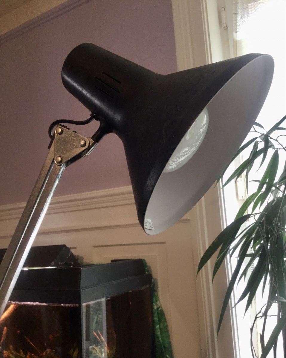 Lampade: Architekten Lampe Vintage – Usato da Schlieren venduto da Jeajet 1