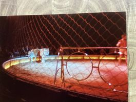 Circus Knie Foto 1982