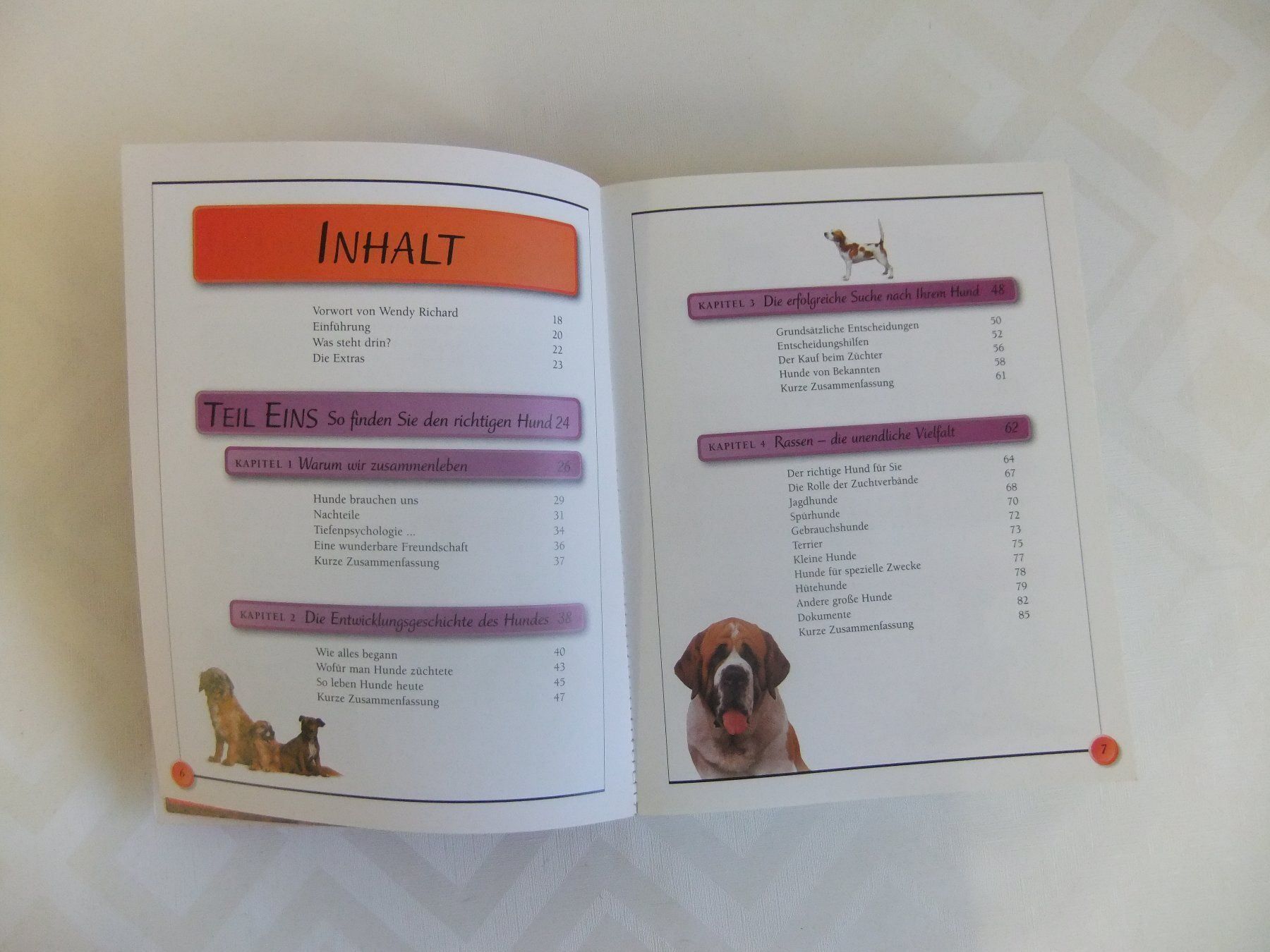 Bücher: Hunde Das Einsteiger-Handbuch KISS Serie – Gebraucht aus Hemishofen von Lany 3