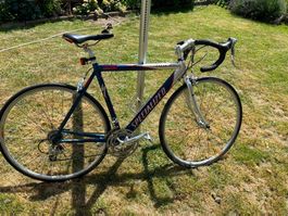 Rennvelo Specialized Allez
