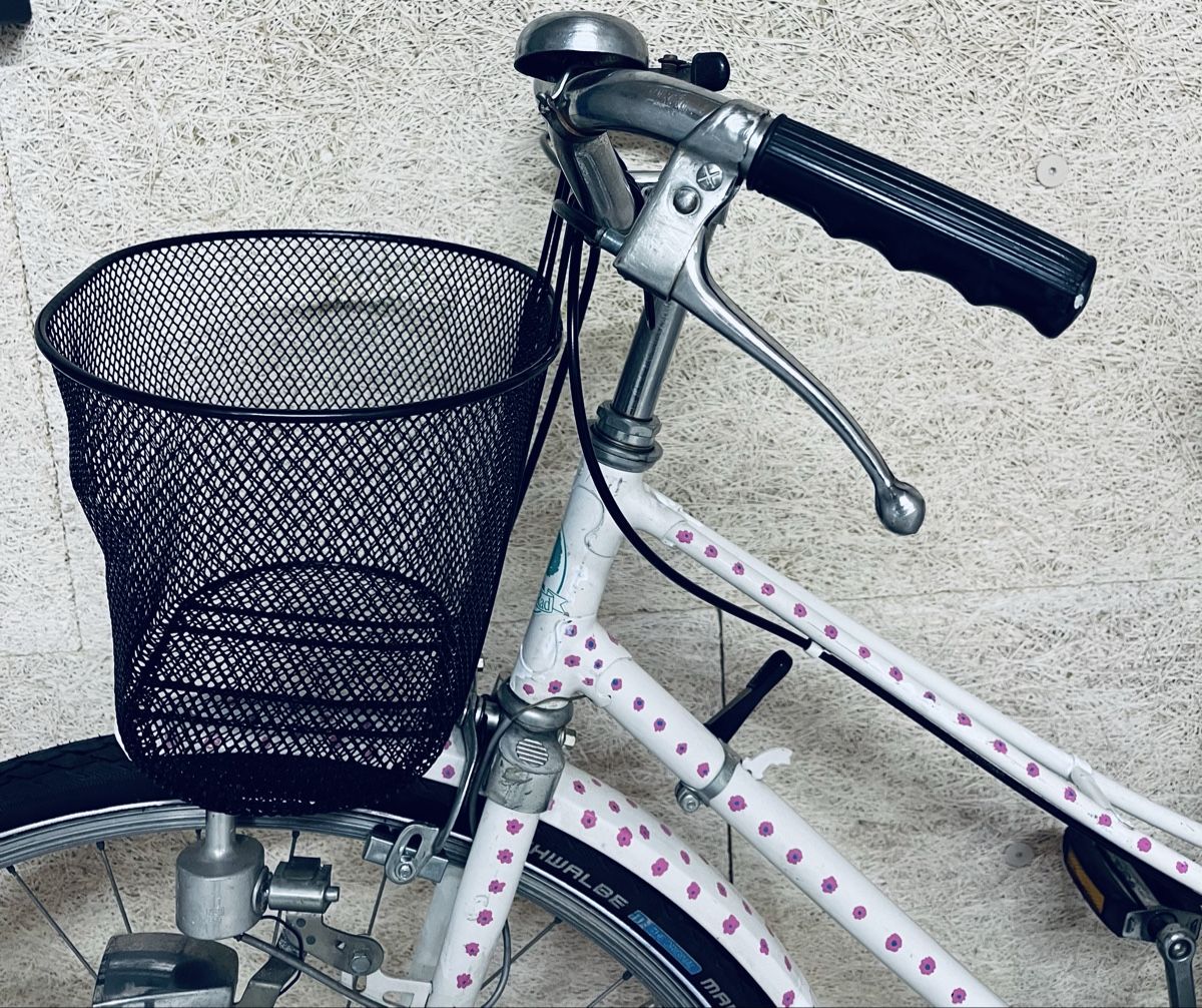Vélos: Damen Velo – D'occasion à Zürich par Bidon3011 5