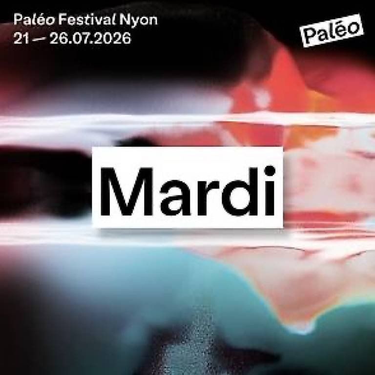 Tickets: Paleo billet mardi – Neu (gemäss Beschreibung) aus Neuchâtel von bel_tt5s