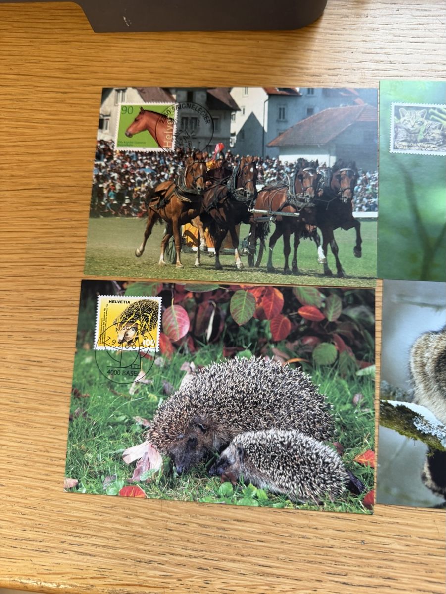 Cartoline postali: 10 Maximumkarten Schweiz – Nuovo (secondo la descrizione) da Murgenthal venduto da Tina_4055