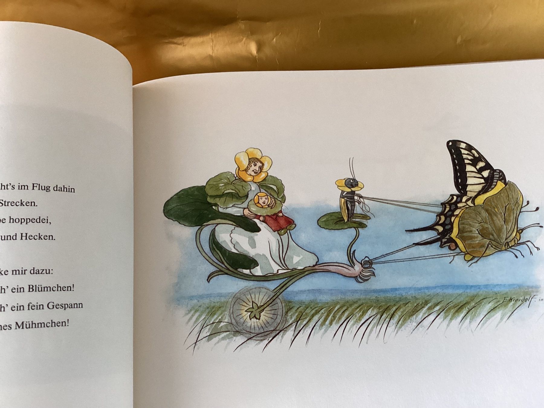 Libri: Ernst Kreidolf / Kinderbuch / Blumen-Märchen – Usato da Beinwil am See venduto da kae_gh7c 5
