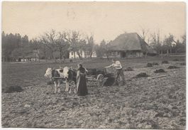 Aargauer Strohdachhaus 1904