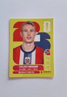 Panini Torbjørn Heggem NOR 8