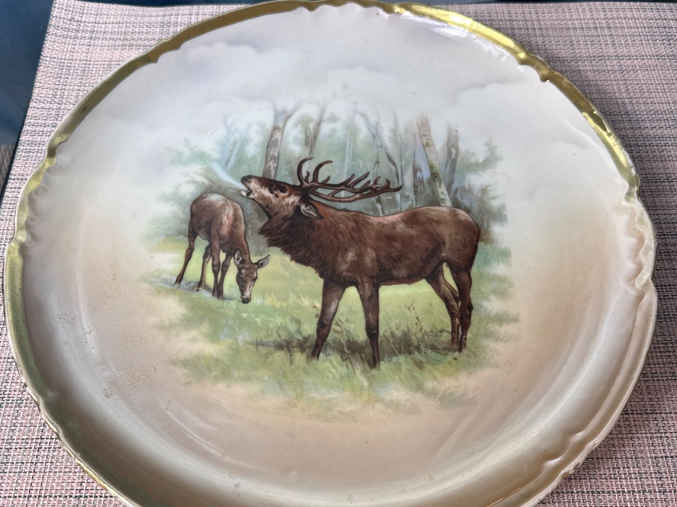 Teller: Teller mit Hirschmotiv und Goldrand, gemustert – Gebraucht aus Grenchen von swiss.antiques 4
