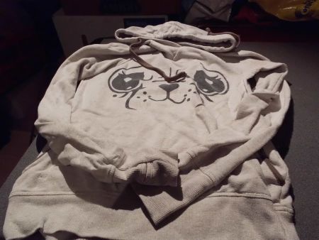 Kapuzenpullover Grösse XS, Clockhouse, grau