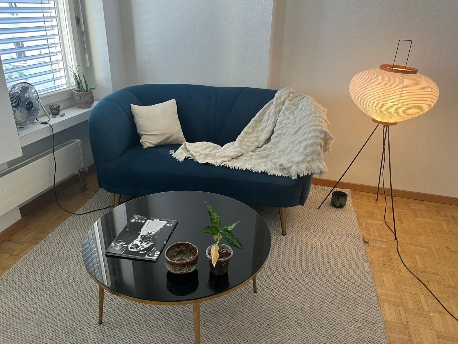 Divani: La Redoute Sofa Leone Himmelblau Farbe – Usato da Zürich venduto da pie_ypg6