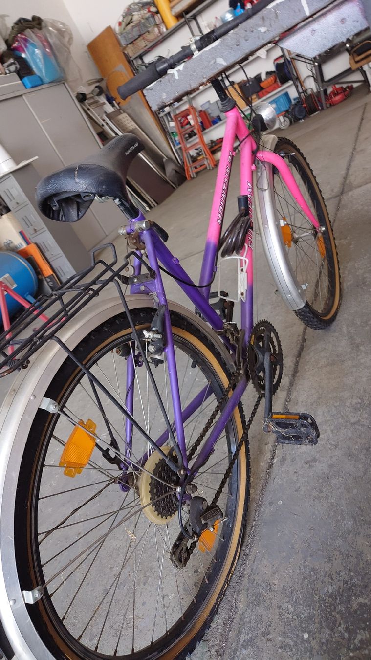 Biciclette: vendo 2 biciclette – Usato da Mezzovico venduto da lav_j8qh 1