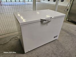 Gefrierschrank Electrolux EGTF308W - 308l - Top !