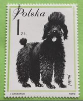 Briefmarken aus Polen  gestempelt Siehe Original Fotos. 