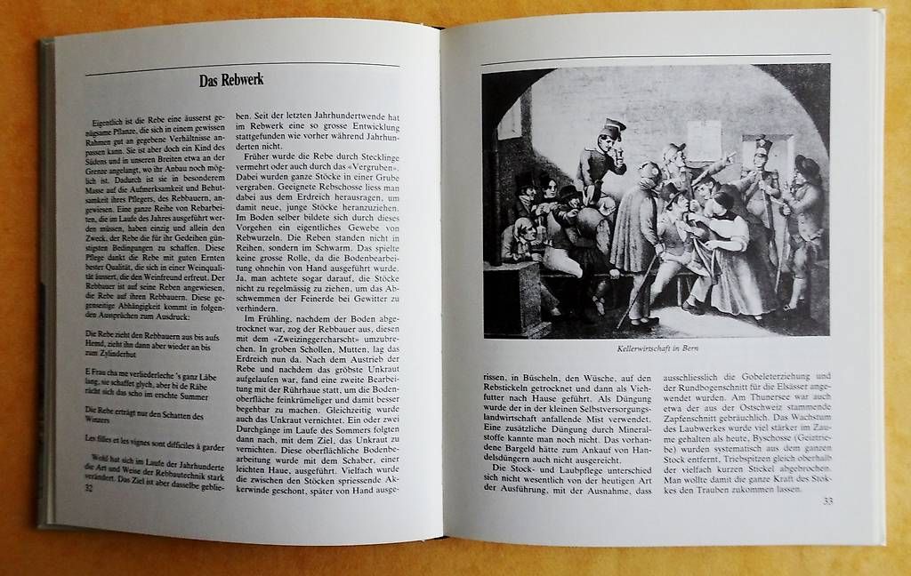 Bücher: Berner Weinbüchlein – Gebraucht aus Bern von janosh-08 2