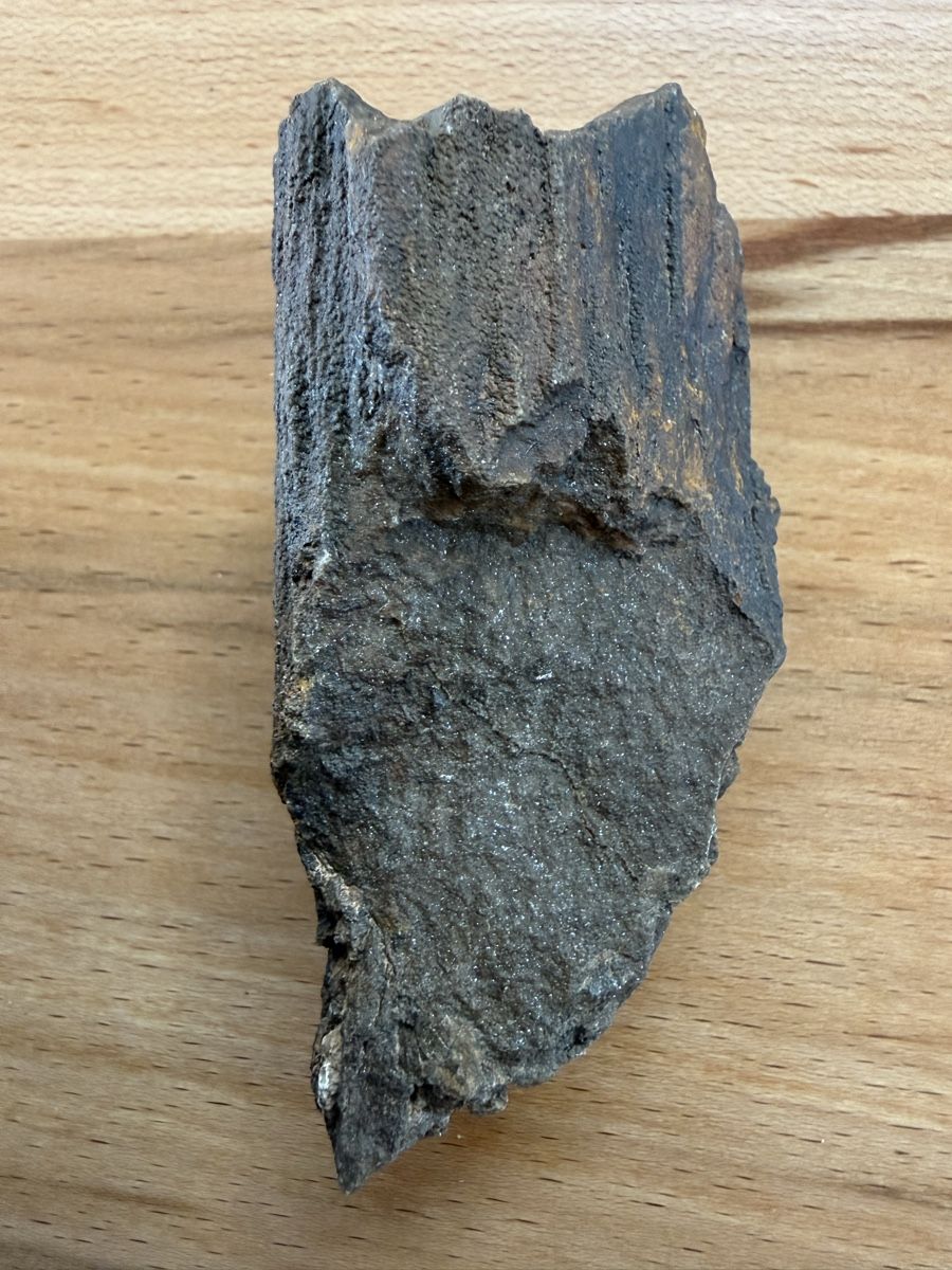 Fossili: Versteinertes Holz – Usato da Grenchen venduto da Bastet007 2